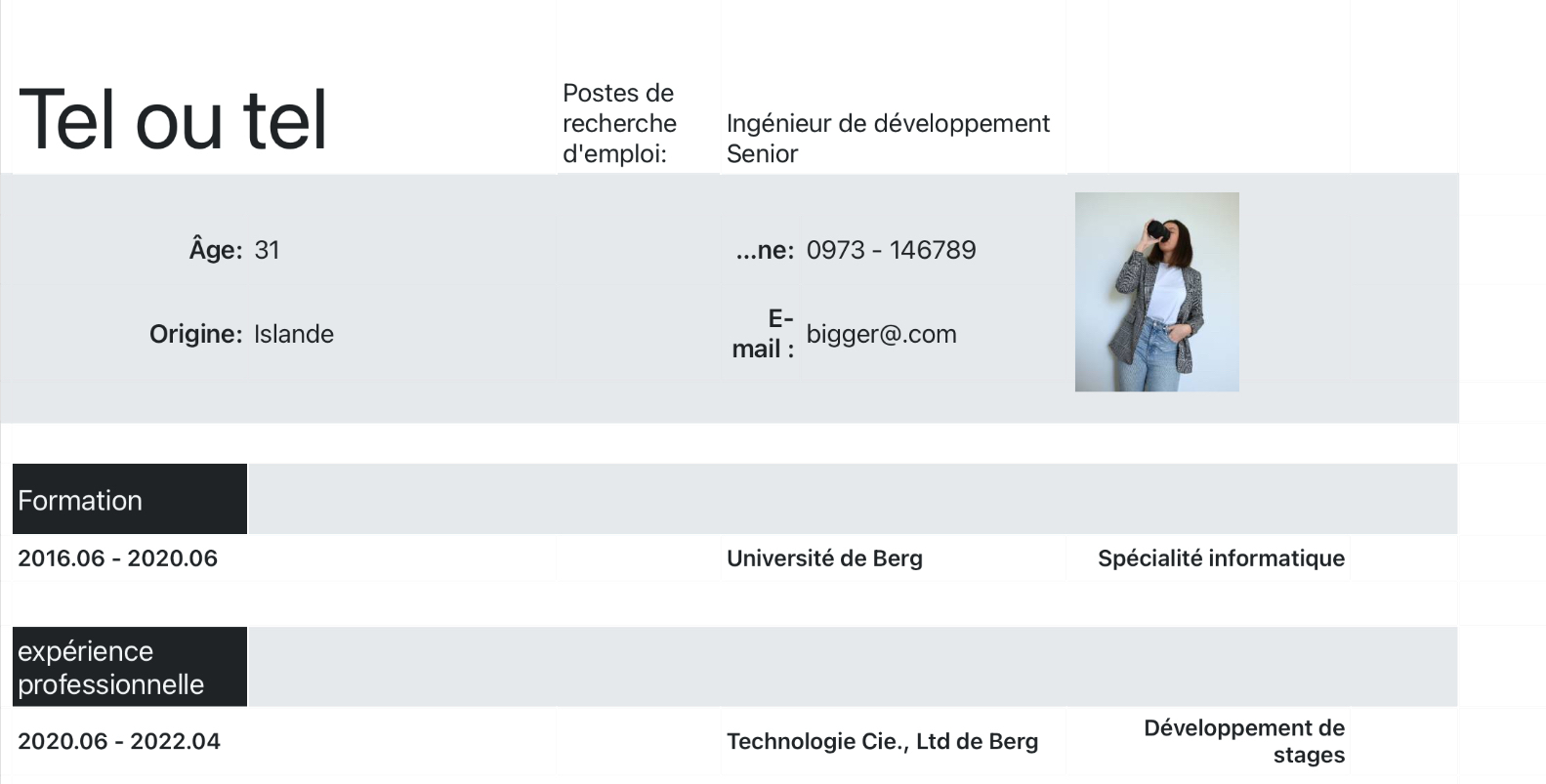 CV du programmeur